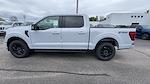 2025 Ford F-150 SuperCrew Cab 4x4 Pickup for sale #S391 - photo 17