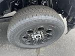 2025 Ford F-350 Crew Cab SRW 4x4 Pickup for sale #S398 - photo 23