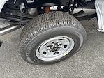 2025 Ford F-250 Crew Cab 4x4 Pickup for sale #S433 - photo 3