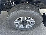 2025 Ford F-350 Crew Cab SRW 4x4 Pickup for sale #S493 - photo 3