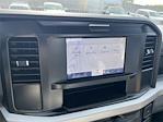 2025 Ford F-350 Regular Cab SRW 4x4 Pickup for sale #S496 - photo 30
