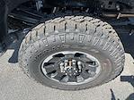 2025 Ford F-350 Crew Cab SRW 4x4 Pickup for sale #S501 - photo 3