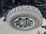 2025 Ford F-350 Crew Cab SRW 4x4 Pickup for sale #S501 - photo 23