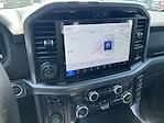 2025 Ford F-150 SuperCrew Cab 4x4 Pickup for sale #S506 - photo 10