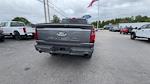 2025 Ford F-150 SuperCrew Cab 4x4 Pickup for sale #S508 - photo 38