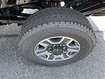 New 2025 Ford F-350 Regular Cab 4x4 SRW Pickup for sale #S524 - photo 3