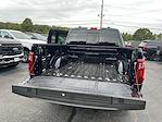 2025 Ford F-150 SuperCrew Cab 4WD Pickup for sale #S538 - photo 3