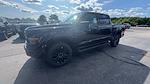 2025 Ford F-150 SuperCrew Cab 4x4 Pickup for sale #S568 - photo 16