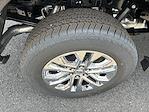 2025 Ford F-150 SuperCrew Cab 4x4 Pickup for sale #S616 - photo 3