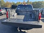 2025 Ford F-150 SuperCrew Cab 4x4 Pickup for sale #S738 - photo 4