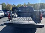 2025 Ford F-150 SuperCrew Cab 4x4 Pickup for sale #S758 - photo 23