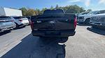 2025 Ford F-150 SuperCrew Cab 4x4 Pickup for sale #S777 - photo 19