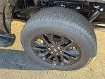 2025 Ford F-150 SuperCrew Cab 4WD Pickup for sale #S803 - photo 23