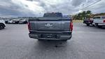 2025 Ford F-150 SuperCrew Cab 4WD Pickup for sale #S826 - photo 40