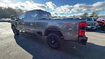 2023 Ford F-250 Crew Cab 4WD Pickup for sale #S827A - photo 18
