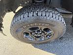 2023 Ford F-250 Crew Cab 4WD Pickup for sale #S827A - photo 3