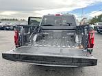 2025 Ford F-150 SuperCrew Cab 4WD Pickup for sale #S849 - photo 23
