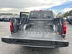 2025 Ford F-150 SuperCrew Cab 4WD Pickup for sale #S849 - photo 4