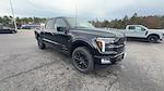 2025 Ford F-150 SuperCrew Cab 4WD Pickup for sale #S853 - photo 15