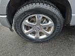 2023 Ford F-150 SuperCrew Cab 4WD Pickup for sale #S882A - photo 3