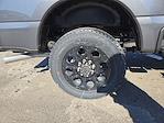 2026 Ford F-350 Crew Cab SRW 4WD Pickup for sale #T265 - photo 4
