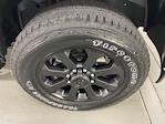 2025 Ram 2500 Crew Cab 4x4 Pickup for sale #DT031352 - photo 5