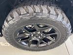 2025 Ram 1500 Crew Cab 4x4 Pickup for sale #DT042256 - photo 6