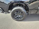 New 2025 Chevrolet Silverado 1500 RST Crew Cab 4WD Pickup for sale #179568 - photo 7
