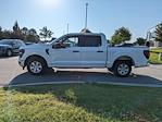 2024 Ford F-150 SuperCrew Cab RWD Pickup for sale #MT26395 - photo 7