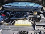 2024 Ford F-150 SuperCrew Cab 4WD Pickup for sale #PT27338 - photo 47