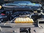 2023 Ford F-150 SuperCrew Cab 4WD Pickup for sale #PT27435 - photo 46