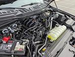 2024 Ford F-150 SuperCrew Cab 4WD Pickup for sale #PT27490 - photo 46