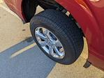2023 Ford F-150 SuperCrew Cab 4WD Pickup for sale #PT27709 - photo 40