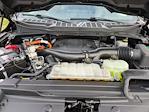 2023 Ford F-150 SuperCrew Cab 4WD Pickup for sale #PT27800 - photo 41