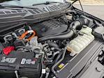 2023 Ford F-150 SuperCrew Cab 4WD Pickup for sale #PT27800 - photo 42