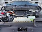 Used 2023 Ford F-150 Limited SuperCrew Cab for sale #PT27919 - photo 45