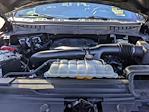 2023 Ford F-150 SuperCrew Cab 4WD Pickup for sale #PT27982 - photo 44