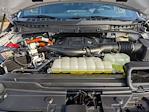 2023 Ford F-150 SuperCrew Cab 4WD Pickup for sale #PT28020 - photo 45