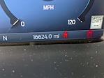 2024 Ford F-150 SuperCrew Cab 4WD Pickup for sale #ST20084 - photo 22