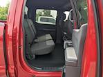 2024 Ford F-150 SuperCrew Cab 4WD Pickup for sale #T480887 - photo 37