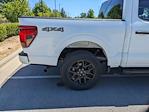 2024 Ford F-150 SuperCrew Cab 4WD Pickup for sale #T480952 - photo 36