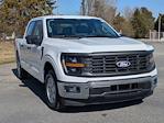 New 2024 Ford F-150 XL SuperCrew Cab Pickup for sale #T481738 - photo 1