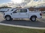 2024 Ford F-150 SuperCrew Cab RWD Pickup for sale #T481264 - photo 7