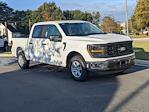 2024 Ford F-150 SuperCrew Cab RWD Pickup for sale #T481265 - photo 3