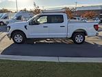 2024 Ford F-150 SuperCrew Cab RWD Pickup for sale #T481265 - photo 7