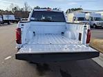 2024 Ford F-150 SuperCrew Cab RWD Pickup for sale #T481417 - photo 34