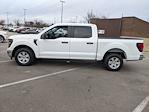 2024 Ford F-150 SuperCrew Cab RWD Pickup for sale #T481432 - photo 7