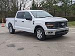 2024 Ford F-150 SuperCrew Cab RWD Pickup for sale #T481433 - photo 3