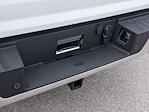 2024 Ford F-150 SuperCrew Cab RWD Pickup for sale #T481433 - photo 31