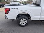 2024 Ford F-150 SuperCrew Cab 4WD Pickup for sale #T481458 - photo 33